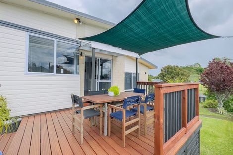 Photo of property in 1 Ohinemuri Place, Paeroa, 3600