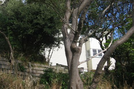 Photo of property in 26 Tannadyce Street, Strathmore Park, Wellington, 6022