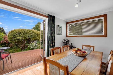 Photo of property in 17 Northfield Avenue, Opoho, Dunedin, 9010