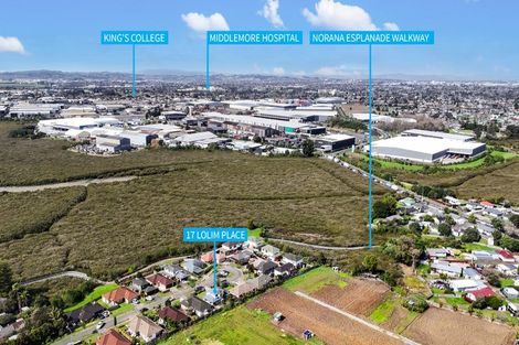 Photo of property in 17 Lolim Place, Favona, Auckland, 2024