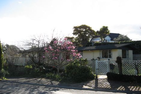 Photo of property in 4 Muritai Crescent, Havelock North, 4130