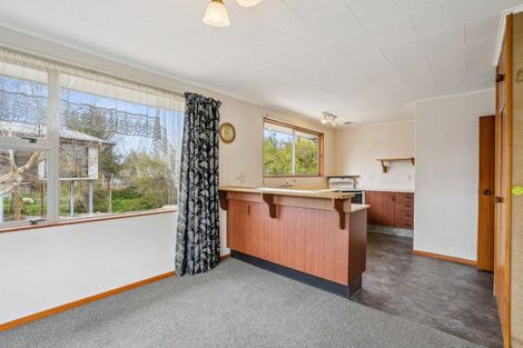 Photo of property in 20 Meadow Street, Lumsden, 9730