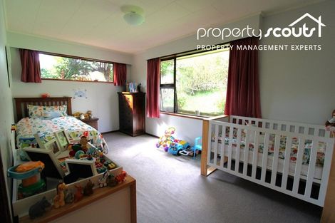 Photo of property in 17 Cawdor Place, Waverley, Dunedin, 9013