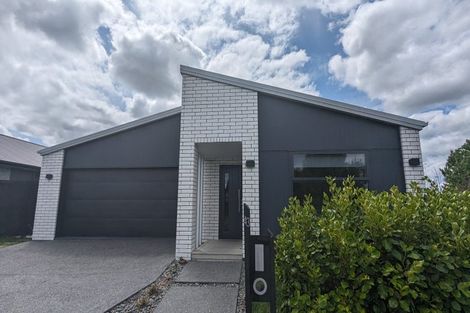 Photo of property in 43 Capper Crescent, Chartwell, Hamilton, 3210