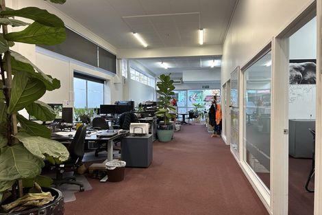 Photo of property in 17a Brougham Street, Nelson South, Nelson, 7010