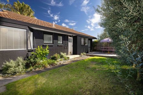 Photo of property in 19a Carysfort Street, Mount Maunganui, 3116