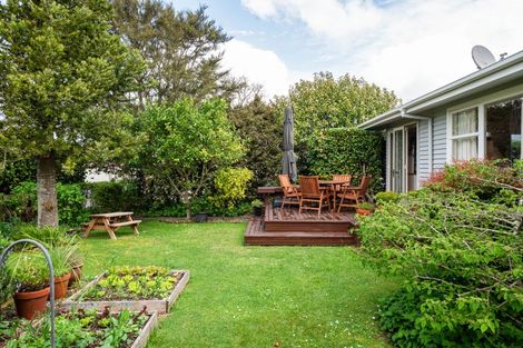 Photo of property in 33 Wymer Terrace, Chartwell, Hamilton, 3210