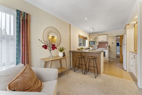 Photo of property in 51 John F Kennedy Drive, Milson, Palmerston North, 4414