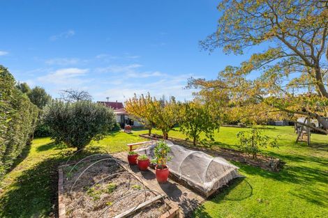 Photo of property in 19 Alma Street, Renwick, 7204