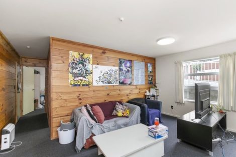Photo of property in Drummond Street Flats, 26/19u Drummond Street, Mount Cook, Wellington, 6021