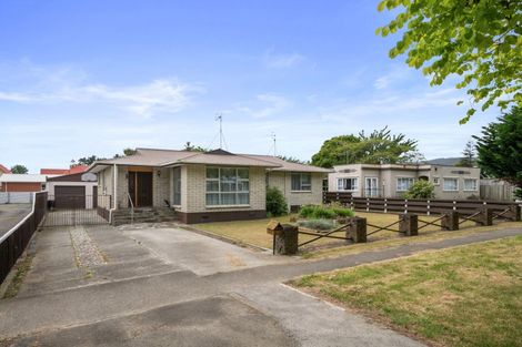Photo of property in 41 Ballance Street, Shannon, 4821