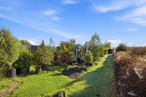 Photo of property in 38 Princes Street, Waikari, 7420