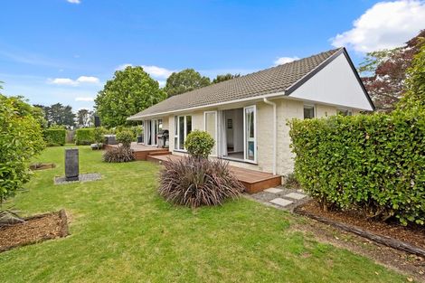 Photo of property in 25 Mccarthy Street, Hoon Hay, Christchurch, 8025