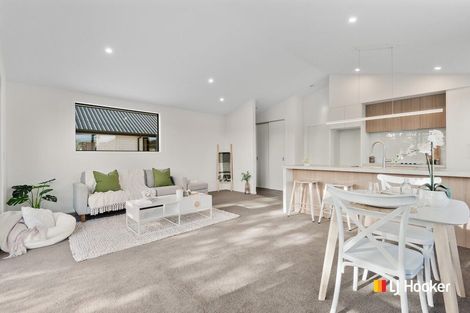 Photo of property in 17b Lanark Street, Mosgiel, 9024
