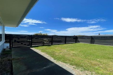 Photo of property in 60 Alexander Avenue, Onekawa, Napier, 4110