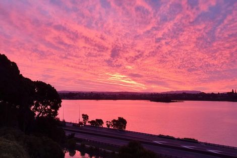 Photo of property in 146 Spring Street, Tauranga, 3110