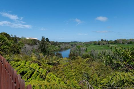 Photo of property in 38 Silva Crescent, Riverlea, Hamilton, 3216