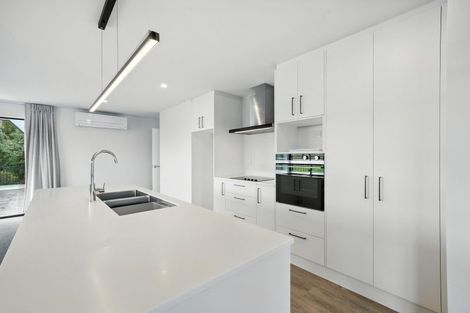 Photo of property in 64 Lambies Street, Marshland, Christchurch, 8083