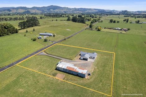 Photo of property in 273 Ford Road, Waihi, 3682