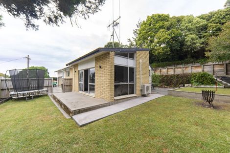 Photo of property in 217 Whatawhata Road, Dinsdale, Hamilton, 3204