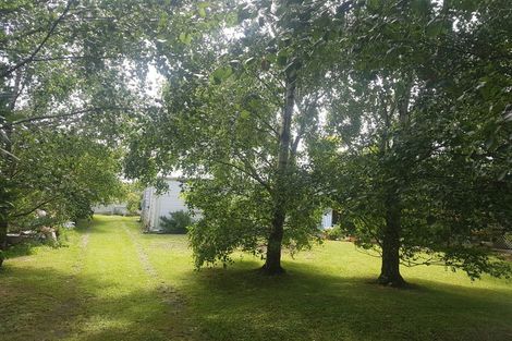 Photo of property in 86 Grey Street, Woodville, 4920