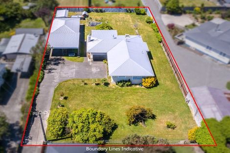 Photo of property in 85 Cockburn Street, Kuripuni, Masterton, 5810