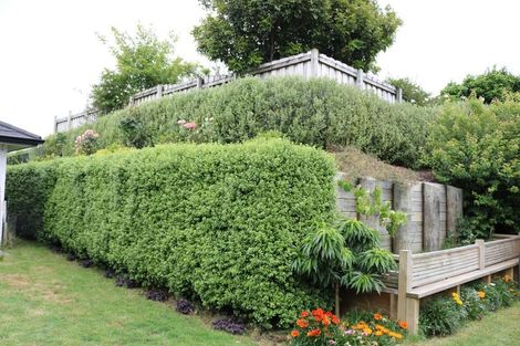 Photo of property in 8 Oak Ridge Drive, Te Awamutu, 3800