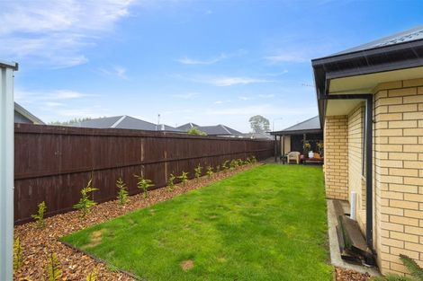Photo of property in 7 Minerva Crescent, Woodend, 7610