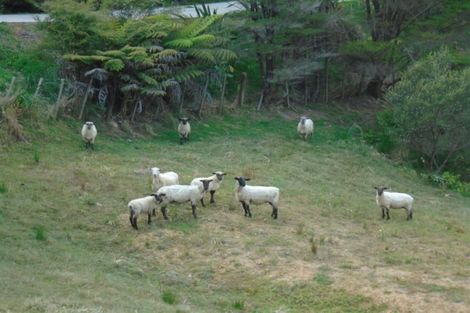 Photo of property in 43a Pinetone Road, Kumeu, 0892