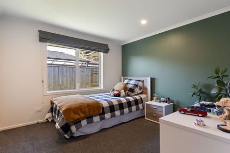 Photo of property in 29 Monarch Drive, Ashhurst, 4810