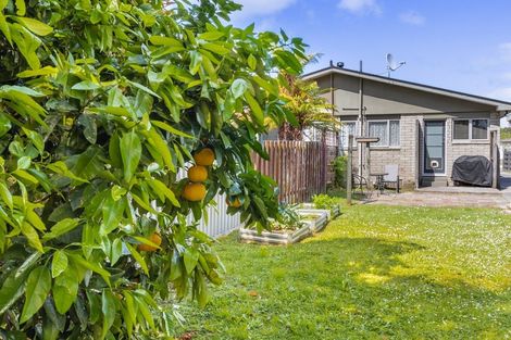 Photo of property in 16b Marere Avenue, Paraparaumu, 5032