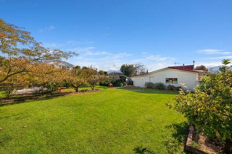 Photo of property in 19 Alma Street, Renwick, 7204