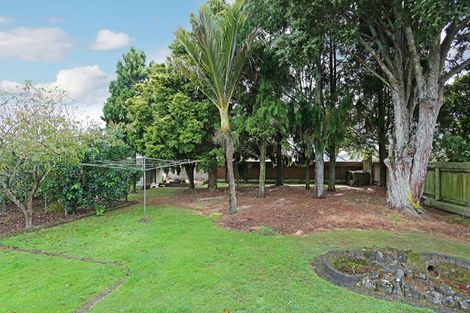 Photo of property in 8 Elizabeth Street, Tuakau, 2121