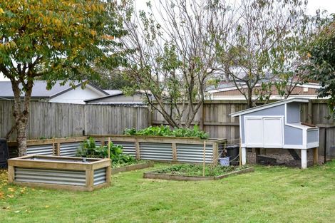 Photo of property in 51 Robinson Street, Cambridge, 3434