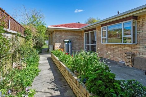 Photo of property in 57 Market Street, Leeston, 7632