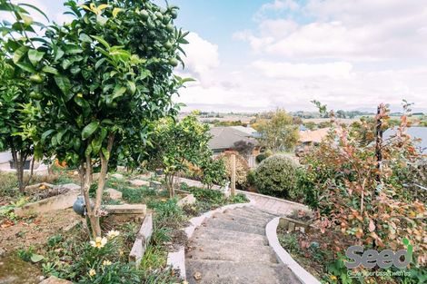 Photo of property in 96 Ayrshire Drive, Grandview Heights, Hamilton, 3200