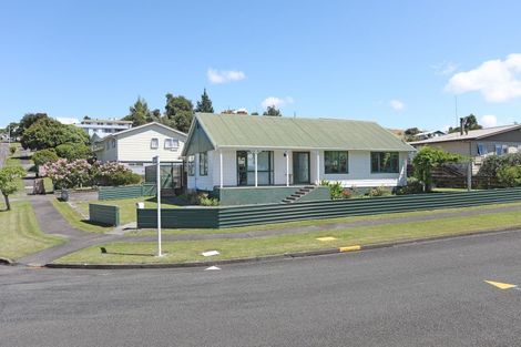 Photo of property in 138 Lethbridge Street, Feilding, 4702