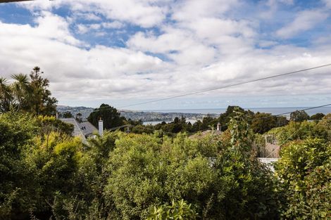 Photo of property in 9 Scarba Street, Roslyn, Dunedin, 9010
