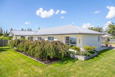 Photo of property in 7 Prendiville Lane, Greytown, 5712