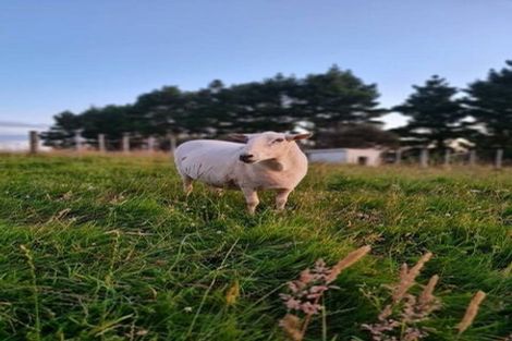 Photo of property in 350 Horokiwi Road, Horokiwi, Wellington, 5016