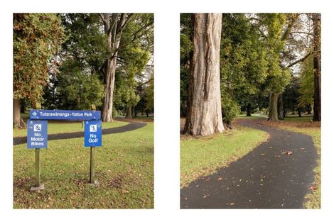 Photo of property in 28 Harrier Street, Parkvale, Tauranga, 3112