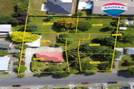 Photo of property in 46 Keepa Street, Levin, 5510