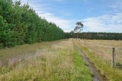 Photo of property in 2614 South Eyre Road, Eyrewell, Rangiora, 7476