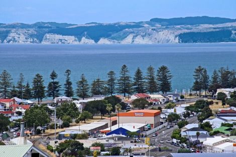 Photo of property in 20 Colenso Avenue, Hospital Hill, Napier, 4110