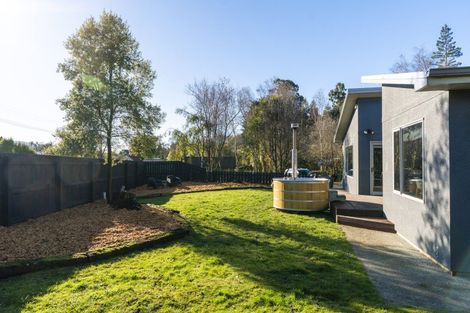 Photo of property in 3 Goodwin Street, Waihola, Milton, 9073