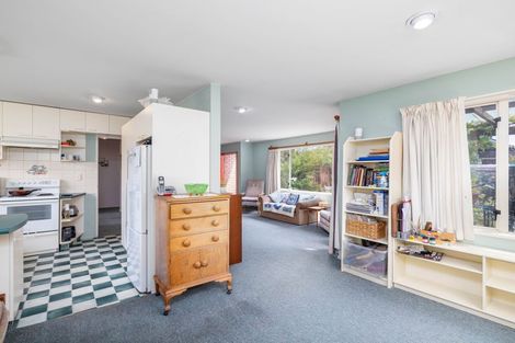 Photo of property in 17 Mcleish Lane, Spreydon, Christchurch, 8024