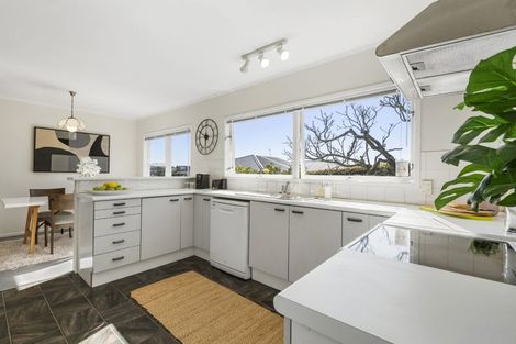 Photo of property in 46 Alton Avenue, Hillcrest, Auckland, 0627