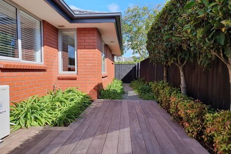 Photo of property in 118b Somerfield Street, Somerfield, Christchurch, 8024