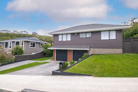 Photo of property in 60 Erris Street, Johnsonville, Wellington, 6037