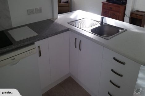 Photo of property in 80 Taipari Street, Maungatapu, Tauranga, 3112